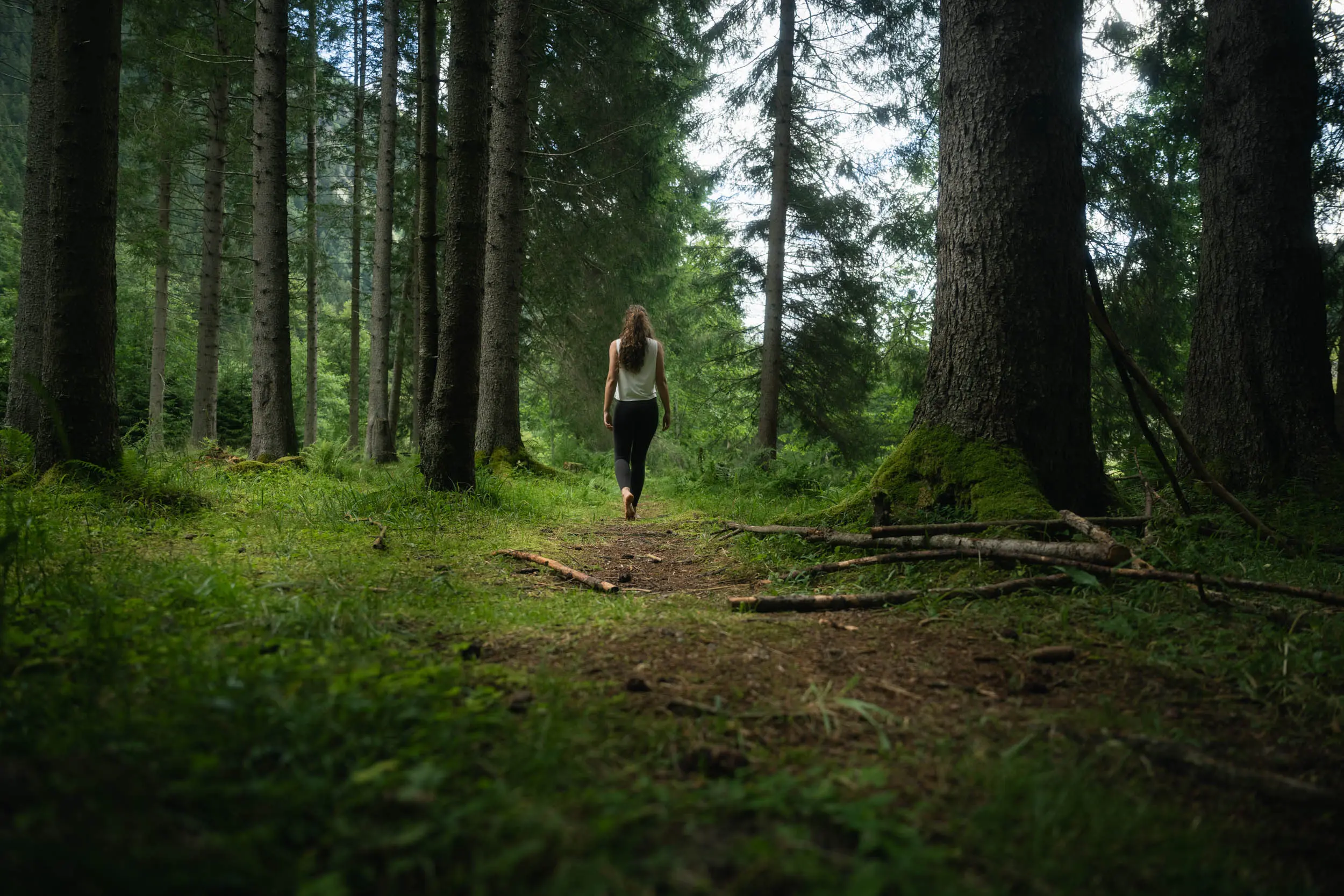 Waldbaden – Spaziergang im Wald bei Neustift im Stubaital